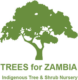 Trees for Zambia